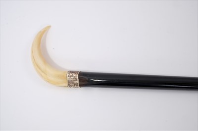 Lot 698 - Edwardian marine ivory and ebonised walking stick, with silver collar engraved with initials and horn ferrule, 80cm long