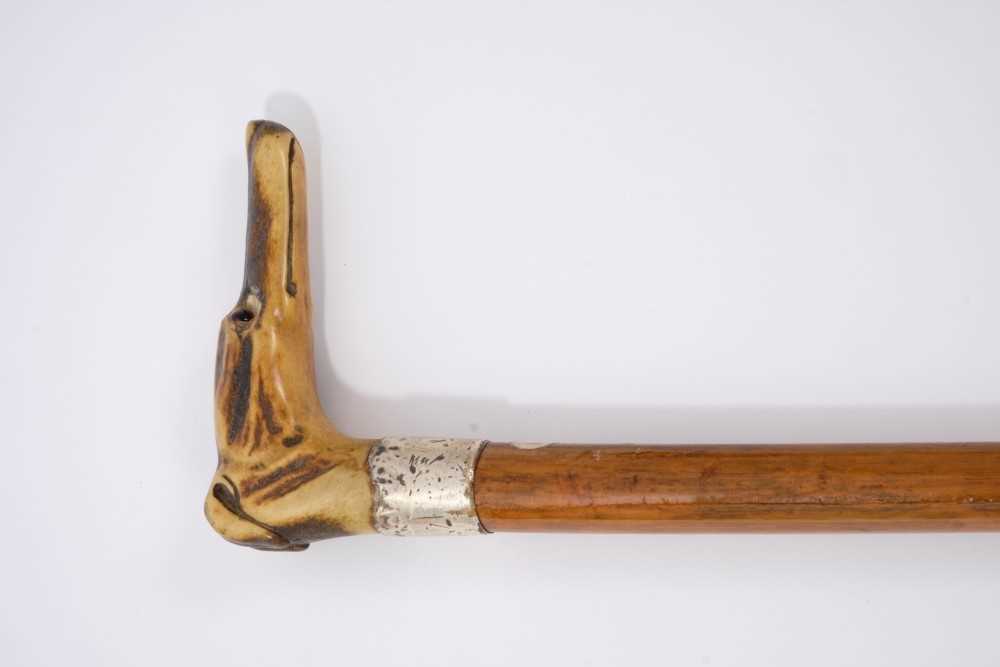 Lot 697 - Late 19th / early 20th century malacca and carved antler walking stick, the crop handle carved in the form of a greyhound head, with silver collar and brass ferrule, 86cm long