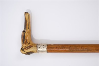 Lot 697 - Late 19th / early 20th century malacca and carved antler walking stick, the crop handle carved in the form of a greyhound head, with silver collar and brass ferrule, 86cm long