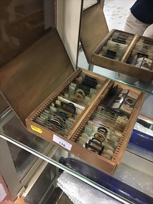 Lot 116 - Collection of microscope slides