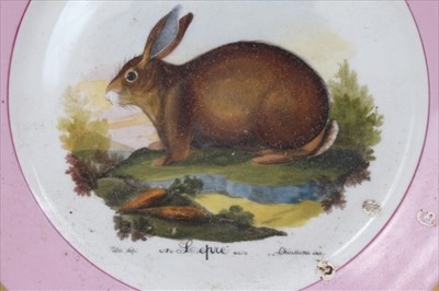Lot 51 - Set of six Continental porcelain dessert plates, painted depicting various mammals, faux Vienna marks