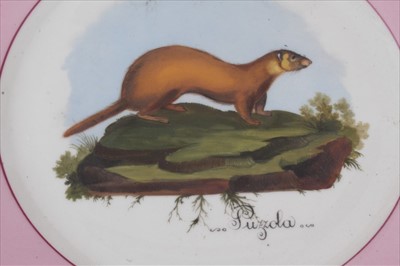 Lot 51 - Set of six Continental porcelain dessert plates, painted depicting various mammals, faux Vienna marks