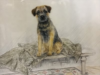 Lot 106 - Gill Evans signed limited edition print - a Border Terrier, 49/850, in glazed frame