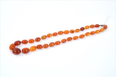 Lot 465 - Amber bead necklace