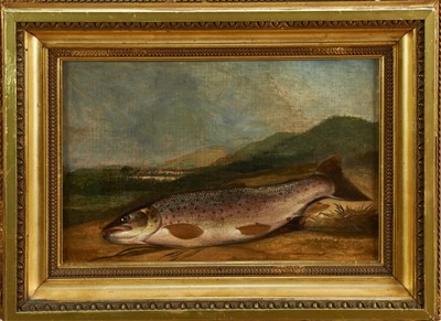 Lot 872 - Attributed to John Russell - oil on canvas, specimen rainbow trout on a bank