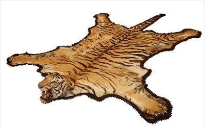 Lot 830 - 1930s Rowland Ward Tiger skin rug with head mount