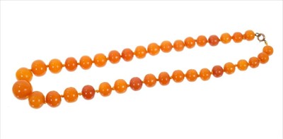 Lot 486 - Antique amber bead necklace with a string of graduated butterscotch amber beads. Largest bead measures approximately 17mm diameter, length 46cm, approximate weight 35.6 grams