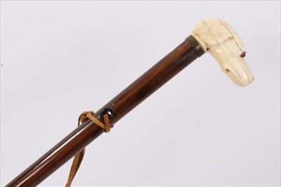 Lot 714 - 19th century novelty walking stick, with carved ivory dog's head handle, rosewood shaft with ivory ferrule