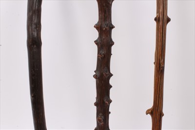 Lot 725 - Good antique root wood stick, gnarled tapering stem with horn ferrule, 95cm long, together with a similar stick