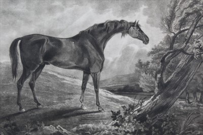 Lot 888 - J. Whessel, early 19th century mezzotint - a racehorse 'Trumpator', from Portraits of Celebrated Running Horse, published by Orme, March 1809, in glazed frame, 47cm x 60cm