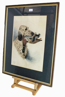 Lot 933 - Boris Riab (Russian 1898-1975) signed mixed method lithograph - a setter with dead mallard, signed in pencil lower right, in glazed frame, 50cm x 35cm