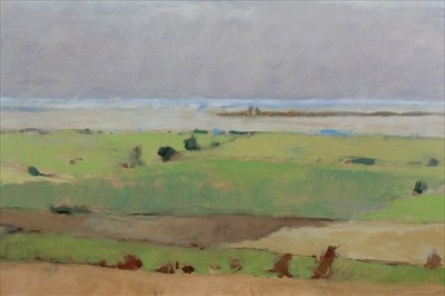 Lot 1158 - David Britton, contemporary, oil on canvas - Fens, signed, framed, 99.5cm x 90cm