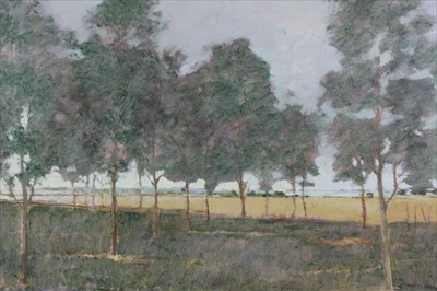 Lot 1157 - David Britton, contemporary, oil on board - Mist and Willows, Stratford St-Mary, signed, framed, 65cm x 90.5 cm