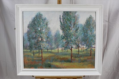 Lot 1156 - David Britton, contemporary, oil on board - Willows at Boxted, signed, framed, 59cm x 75cm