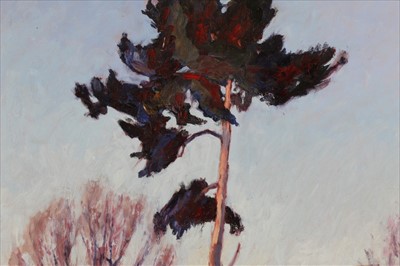 Lot 129 - David Britton, contemporary, oil on board - Pine at Snape Maltings, signed, framed, 69cm x 58cm