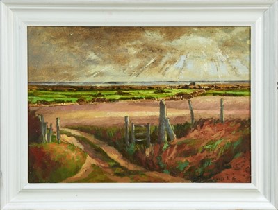 Lot 1151 - David Britton, contemporary, oil on board - From Aldeburgh Old Railway Line, signed, framed, 41.5cm x 59.5cm