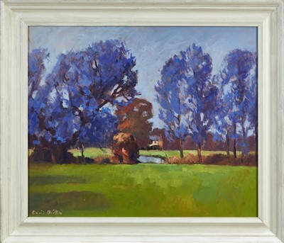 Lot 1148 - David Britton, contemporary, oil on board - October Willow, Ufford, signed, framed, 50.5 cm x 59.5 cm