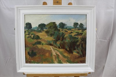 Lot 101 - David Britton, contemporary, oil on canvas - Hilly Fields, Colchester, signed, framed, 40cm x 49.5cm