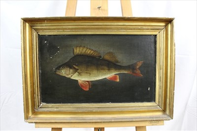 Lot 873 - 19th century oil on canvas fish