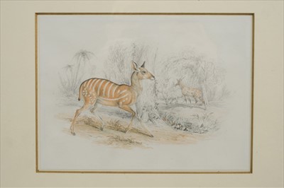 Lot 868 - Samuel Howitt (1756-1822) pencil and watercolour 