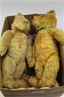 Lot 2821 - Teddy Bears - two vintage golden mohair bears...