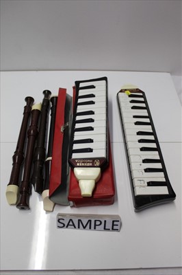 Small melodica on sale