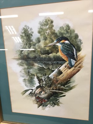 Lot 221 - Robert Copillie (contemporary) gouache, depiction of Kingfisher, oil of m,arshland and botanical prints