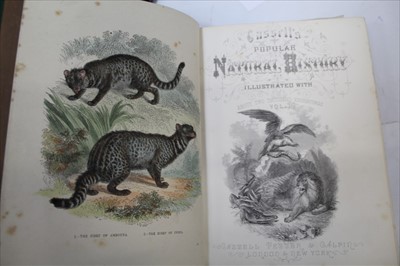 Lot 1250 - Cassell's popular Natural History, four volumes, fine gilt tooled green cloth bindings, together with William Holloway - The British Museum or Elegant Repository of Natural History, Vol 1, 1806