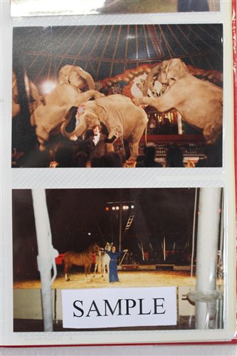 Lot 2495 - Box of fairground and circus photographs (10...