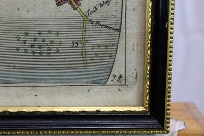 Lot 1028 - 17th century map of Hertfordshire together with a ribbon map of Ipswich to Norwich (2)