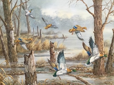 Lot 93 - T. Boyle, English School oil on canvas - mallards in flight through the trees, signed, framed