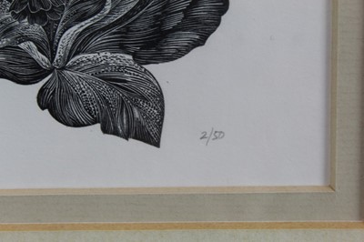 Lot 964 - Yvonne Sargon - wood engraving- Primula