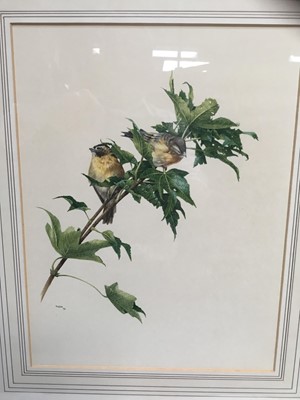 Lot 34 - M W Coe (20th century) watercolour - birds on a branch