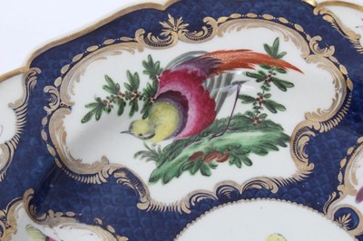 Lot 78 - Worcester plate, circa 1770, decorated with exotic birds and insects on a blue scale and gilt ground, and a similar Worcester oval dish