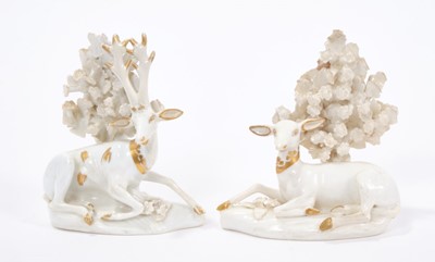 Lot 61 - Pair of Derby models of deer, circa 1810-20.  Illustrated:  DG Rice, English Porcelain Animals of the 19th century, figure 127