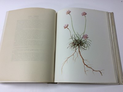 Lot 1014 - Boulger and Perrin - British Flowering, 4. Vols, limited edition number 142 of 1000, dedicated to her Royal Highness the Princess Louise Duchess of Argyll, 300 full page colour plates by Mrs Henry...