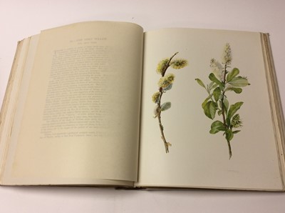Lot 1014 - Boulger and Perrin - British Flowering, 4. Vols, limited edition number 142 of 1000, dedicated to her Royal Highness the Princess Louise Duchess of Argyll, 300 full page colour plates by Mrs Henry...