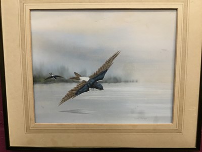 Lot 479 - Noel Ripley (1944) - gouach - Swallows in flight