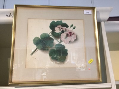 Lot 270 - 19th century watercolour - Study of a flower in glazed frame