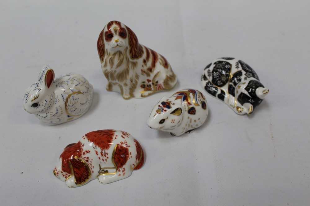 Lot 1015 - Five Royal Crown Derby paperweights - Cavalier King Charles Spaniel, Misty, Puppy, Bank Vole and Bunny