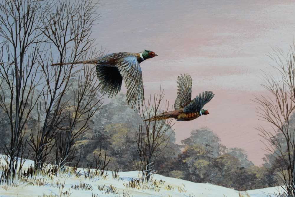 Lot 1139 - Mark Chester - Through the woods - Pheasants, oil on board, a pair