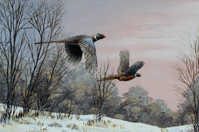 Lot 1139 - Mark Chester - Through the woods - Pheasants, oil on board, a pair