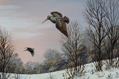 Lot 1139 - Mark Chester - Through the woods - Pheasants, oil on board, a pair