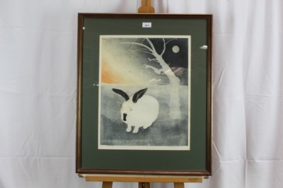 Lot 1011 - *Richard Bawden (b.1936), signed limited edition etching - a rabbit, ' Pink Eyes', 32/100, 35 x 25cm, in glazed frame