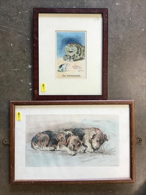 Lot 506 - Herbert Dicksee - etching in glazed frame - Dogs sleeping