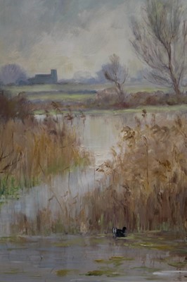 Lot 893 - Shirley Carnt (contemporary) oil on board - Coot in reed beds