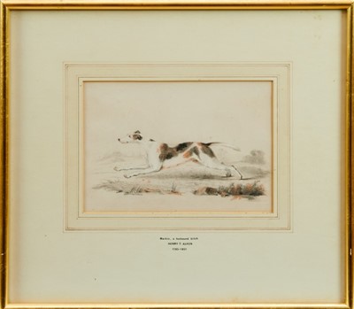 Lot 887 - Henry Alken (1785-1851) chalks ‘Merkin - a foxhound bitch’