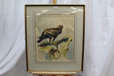 Lot 185 - After Roland Green, watercolour - Golden Eagle, together with two others
