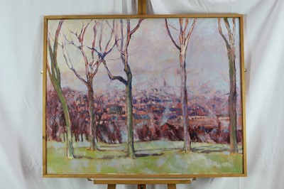 Lot 99 - David Britton , contemporary, oil on canvas - Sheffield from Meresbrook Park, framed, 32cm x 101cm