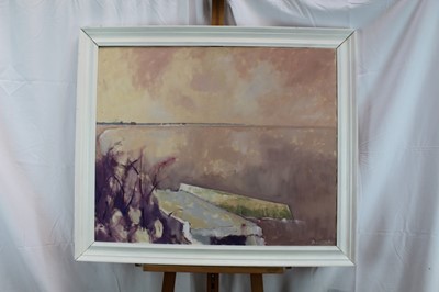 Lot 100 - David Britton , contemporary, oil on canvas - Still Waters at Baudsey, signed, framed 70cm x 86cm